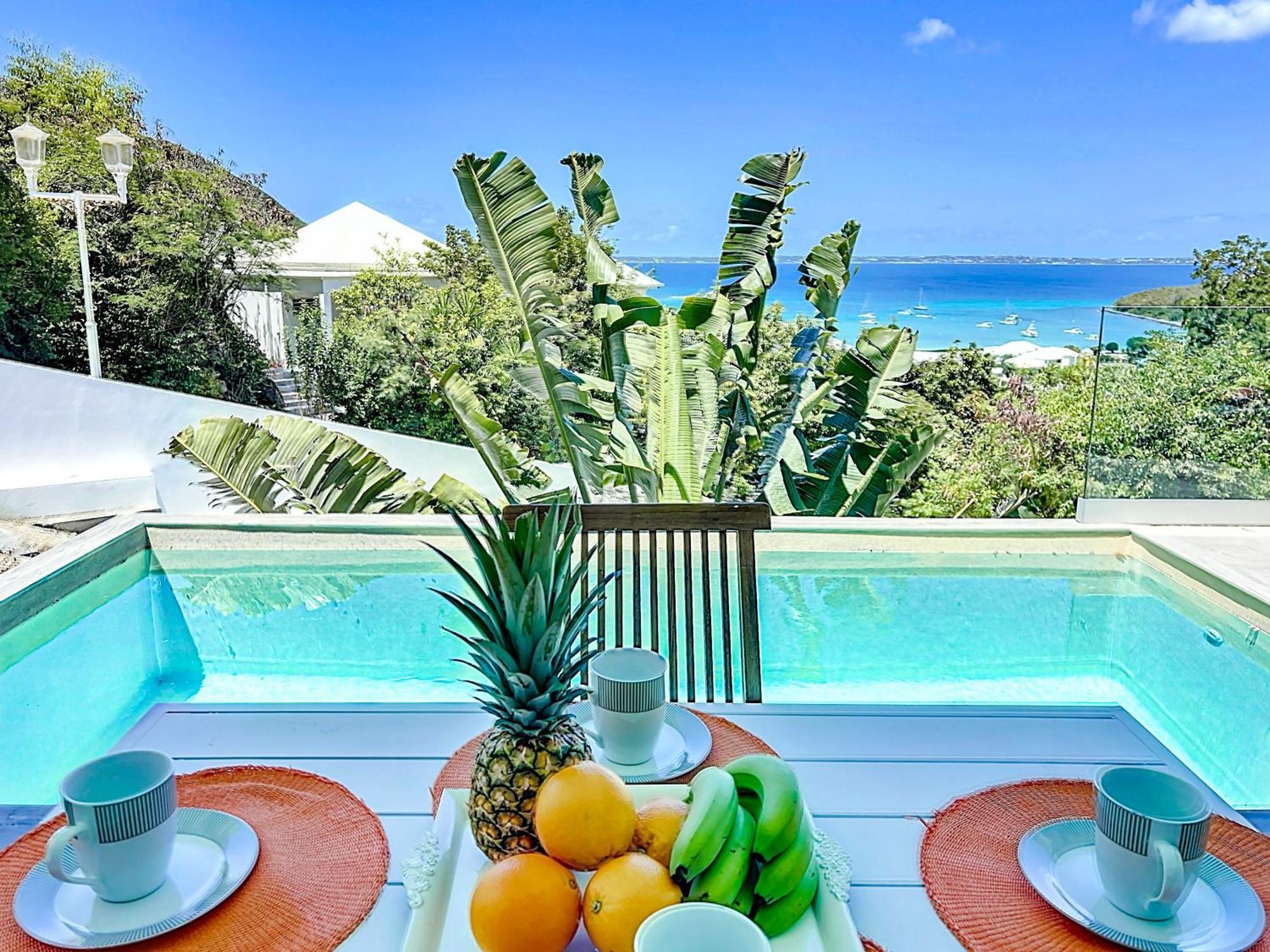 Villa Romane Private Pool Breathtaking Sea View Anse Marcel Exterior photo